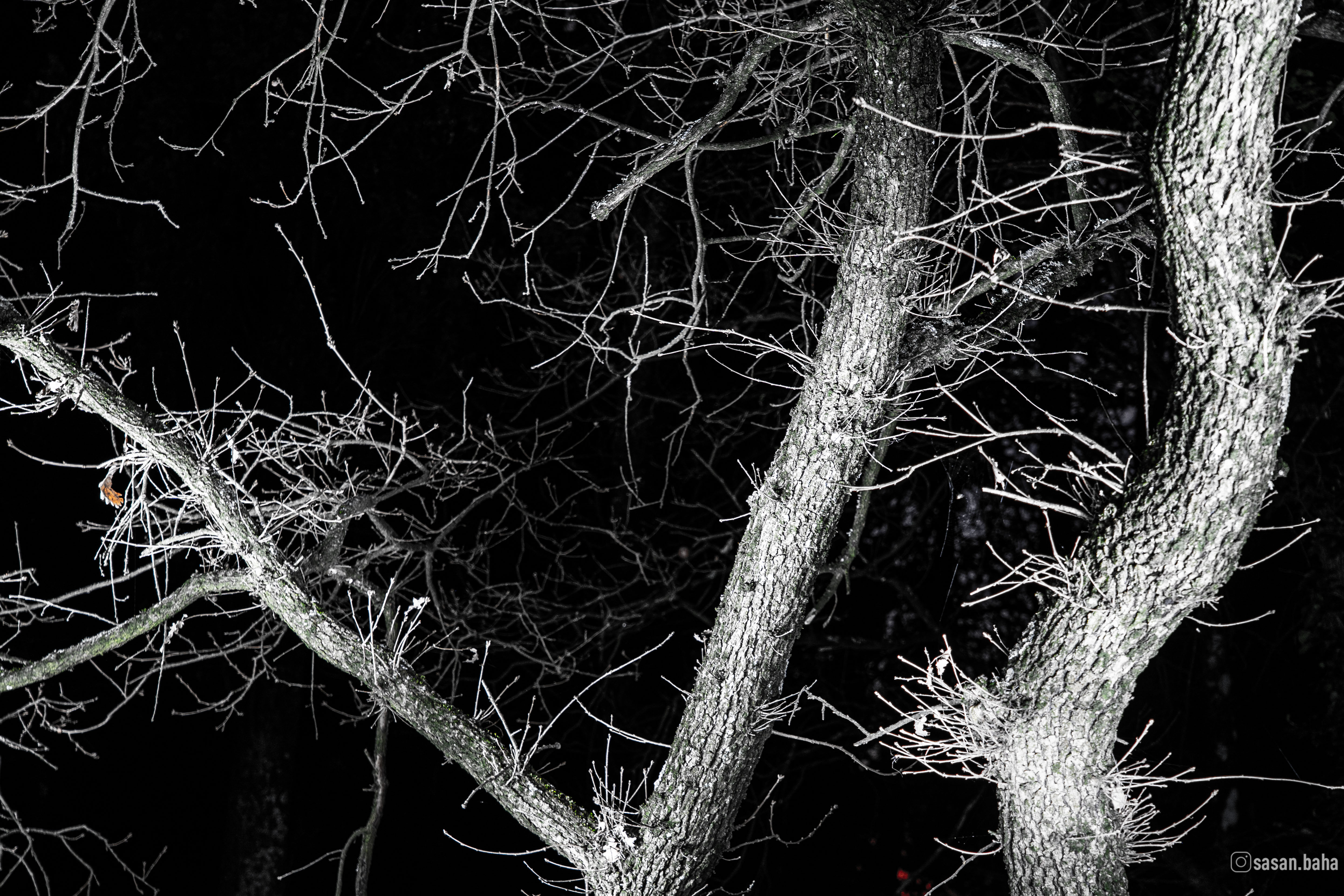 Foto Digitale 3