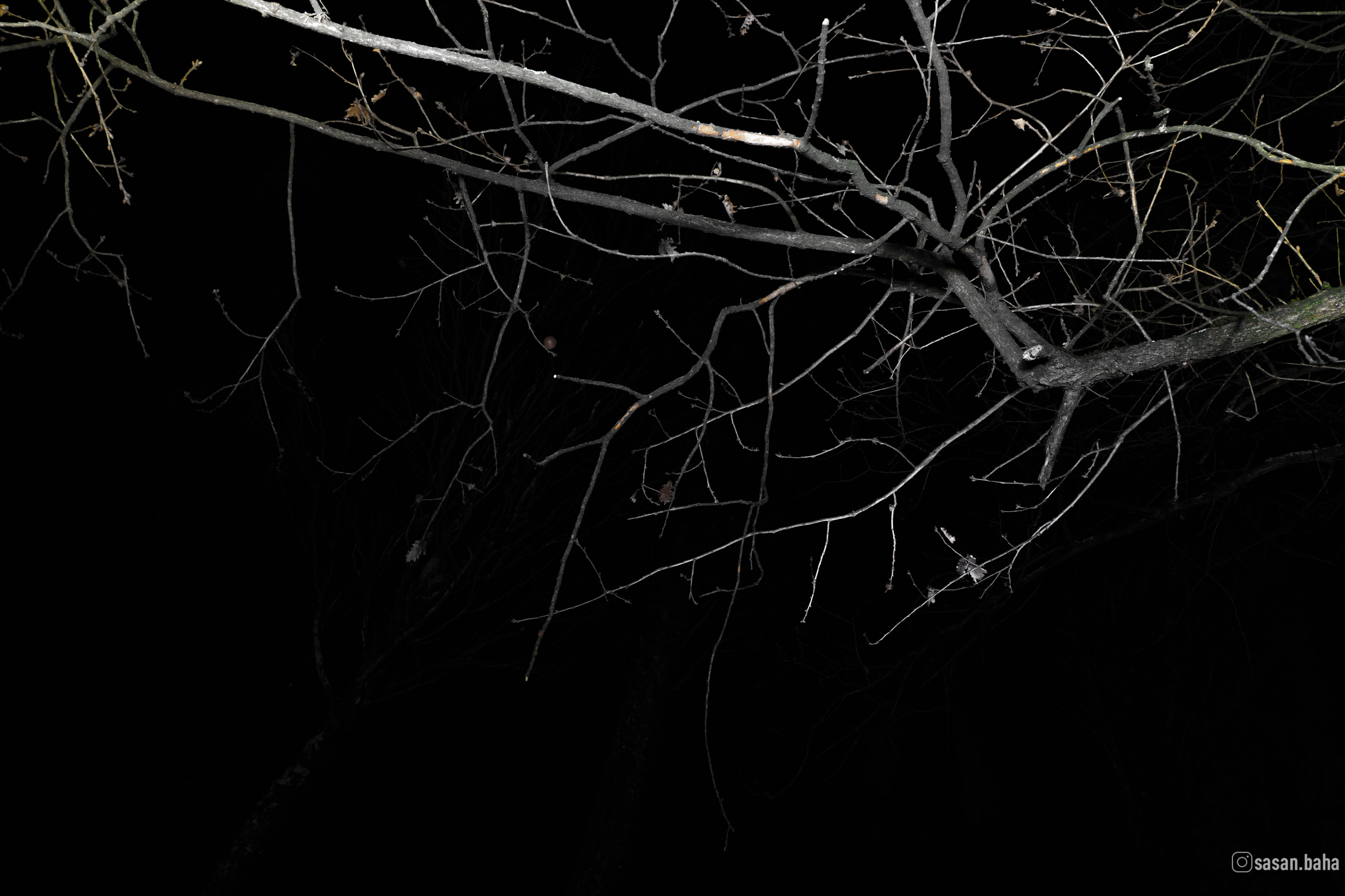 Foto Digitale 2